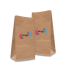 General Use Paper Bags Printed Sample