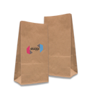 General Use Paper Bags Printed Sample